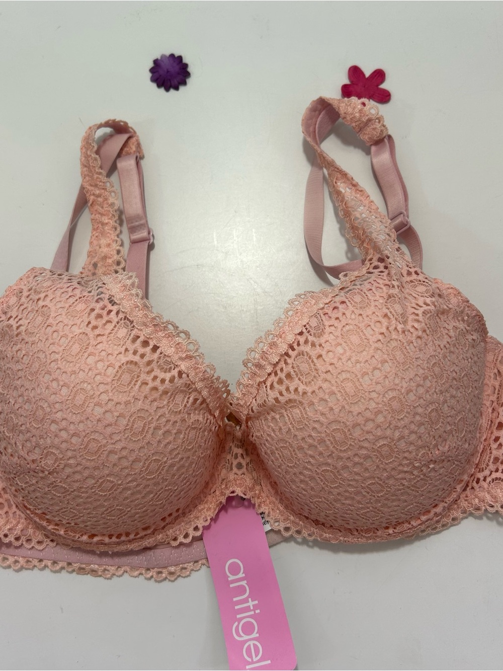 Lise Charmel Antigel Pink Lace Underwire Bra 34D NWT